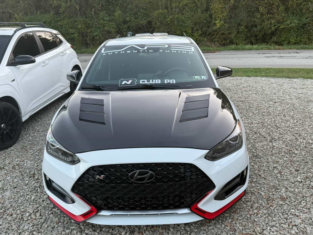 N Club Banner/Decal Bundle - Image 2